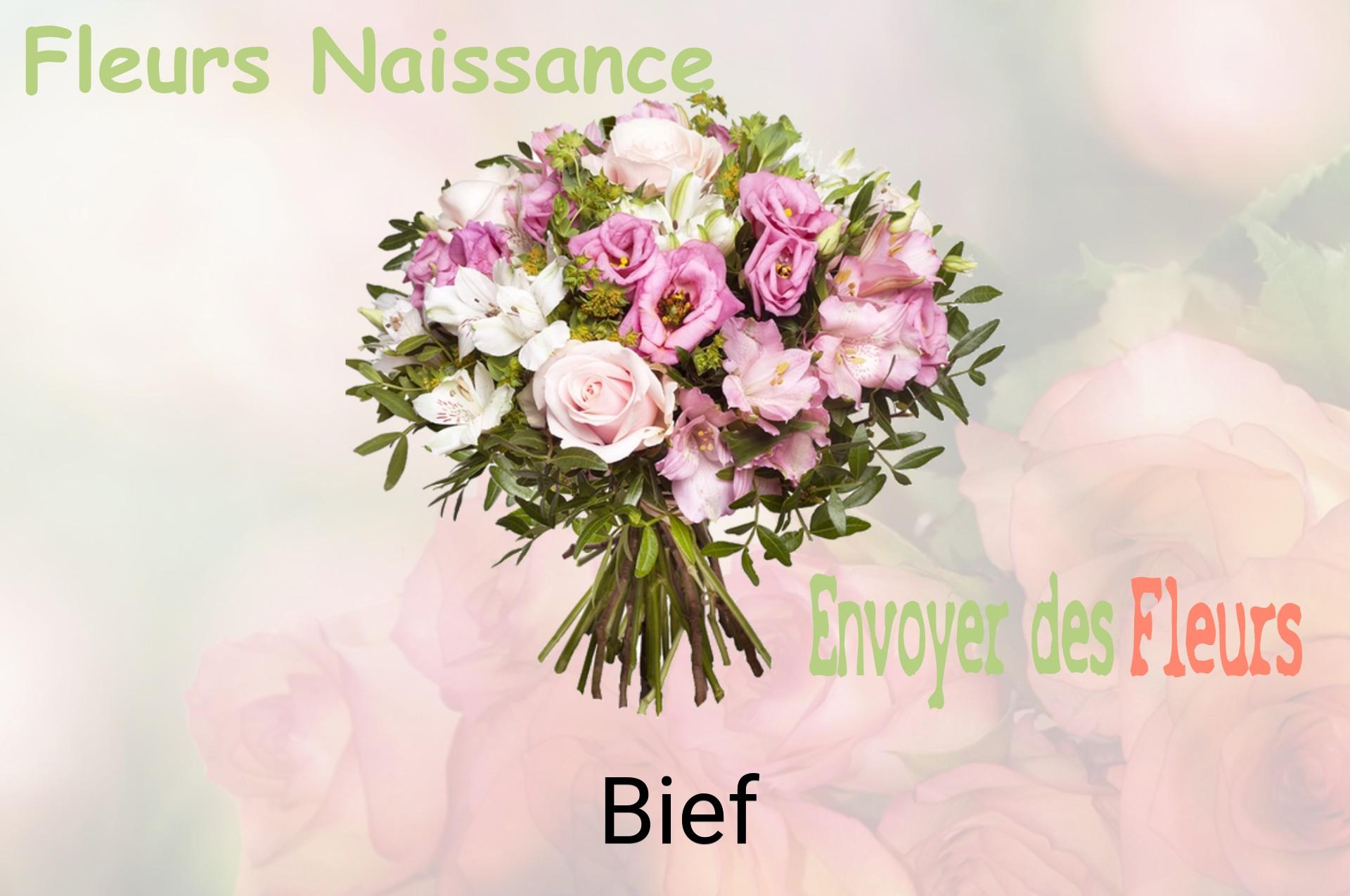 Bouquet de fleurs de naissance livré à Bief