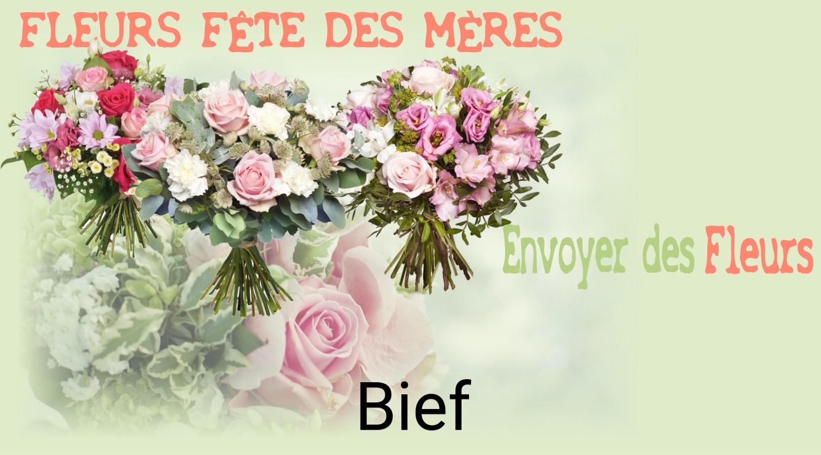 Bouquet de Fête des Mères livré à Bief